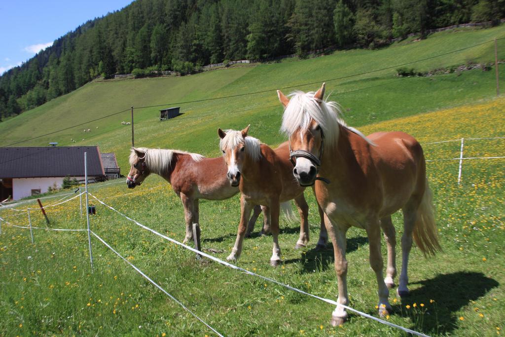 Omesbergerhof Villa Neustift im Stubaital Eksteriør billede
